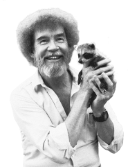 The Bob Ross Story